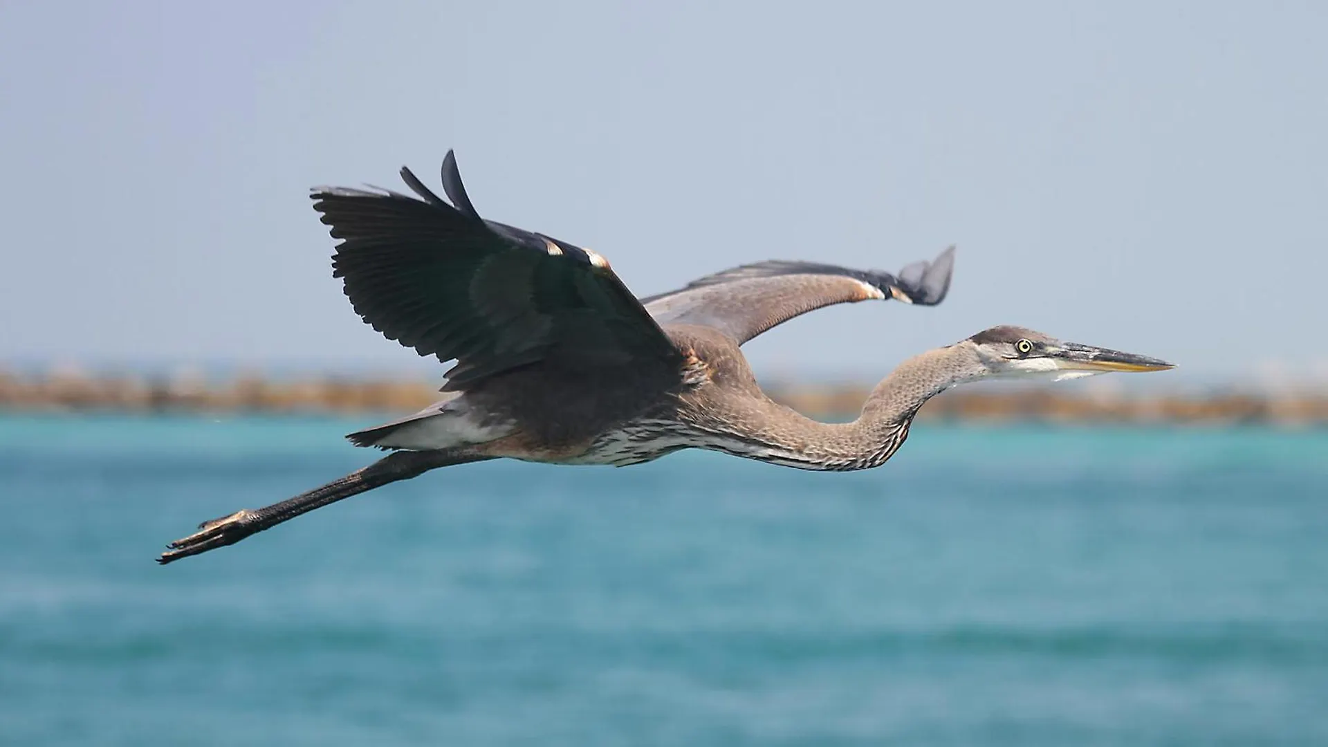 펜션 Texas Tides By Gulf Tide Vacation Rentals 데스틴 미국